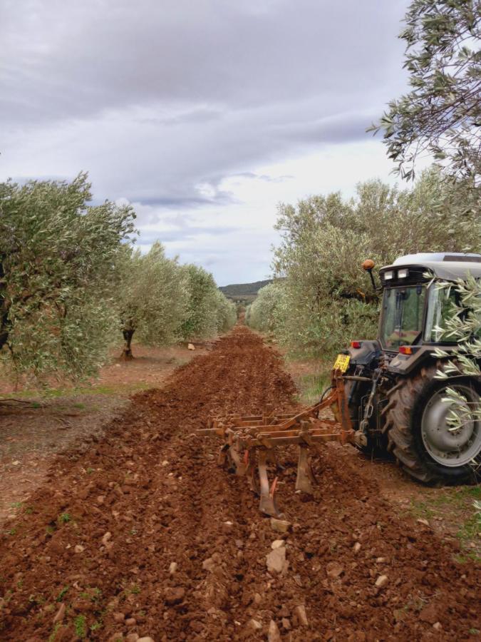 Escale Au Salagou Le Bosc  Zewnętrze zdjęcie